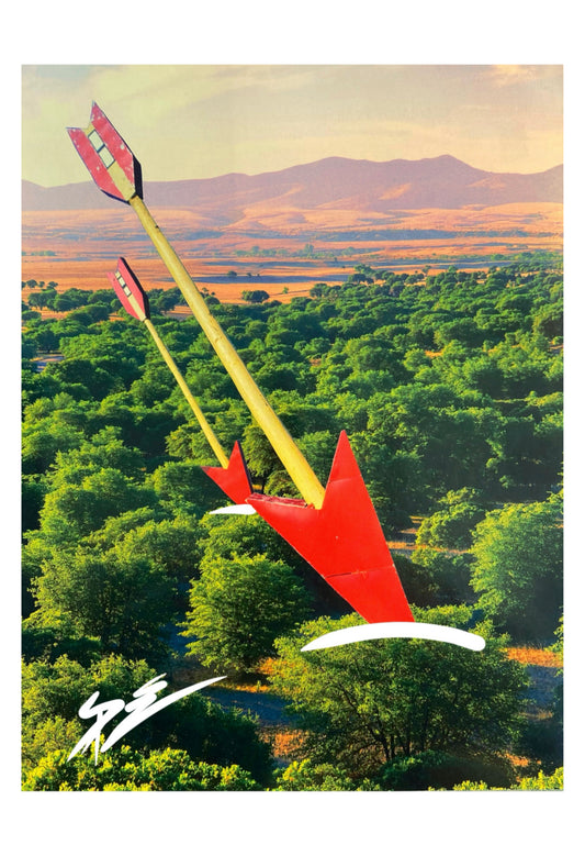 TWIN ARROWS 2022