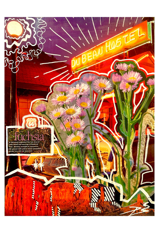 FUCHSIA 2024